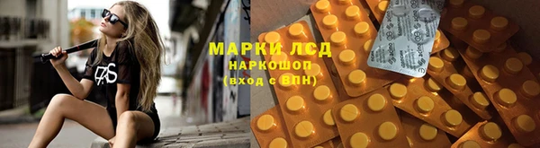 ГАЛЛЮЦИНОГЕННЫЕ ГРИБЫ Новодвинск