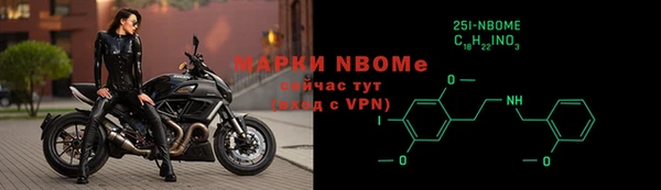 шишки Новозыбков
