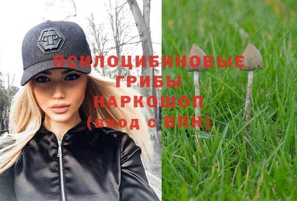 ГАЛЛЮЦИНОГЕННЫЕ ГРИБЫ Новодвинск