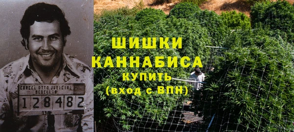 шишки Новозыбков