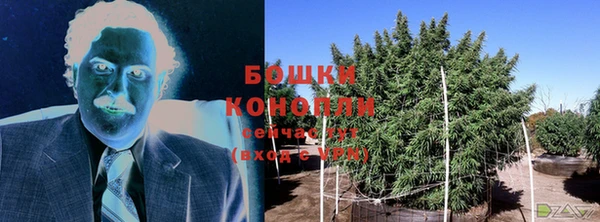 PSILOCYBIN Новокубанск