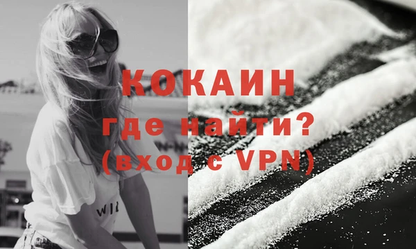 шишки Новозыбков
