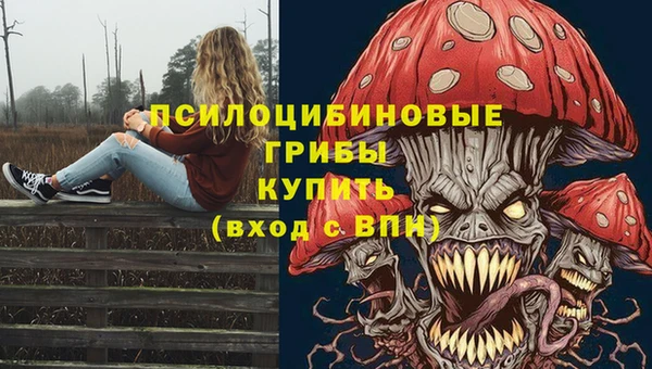 шишки Новозыбков