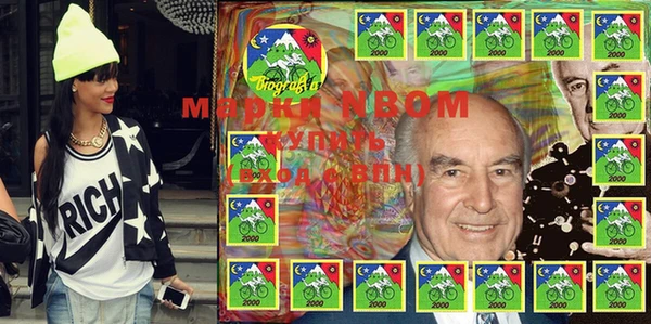 шишки Новозыбков