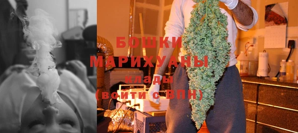 PSILOCYBIN Новокубанск
