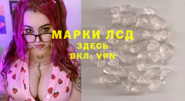 шишки Новозыбков