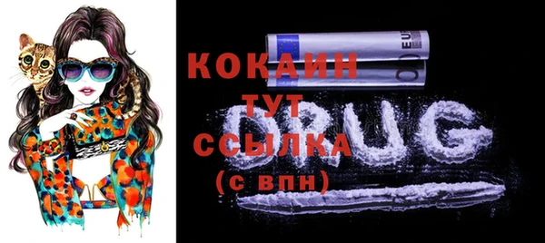 шишки Новозыбков
