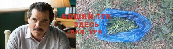 шишки Новозыбков